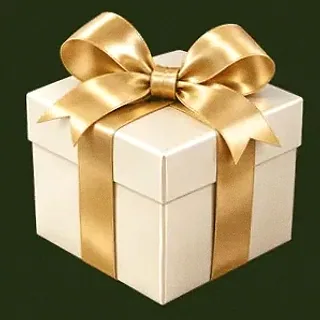 Wrapped gift box — Savaspin